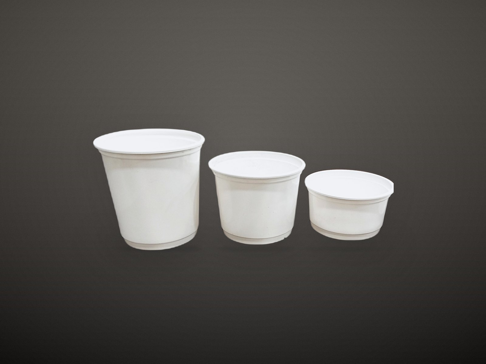 White food containers with lids in four capacities